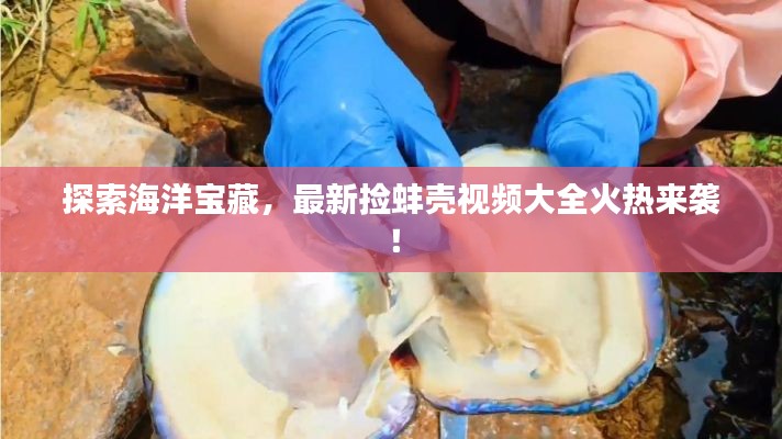 探索海洋宝藏,最新捡蚌壳视频大全火热来袭!