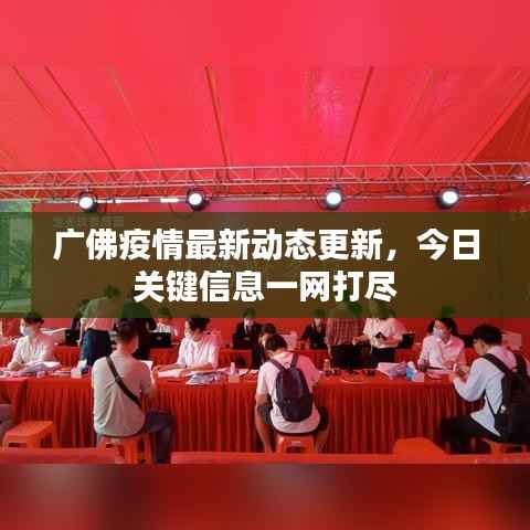 广佛疫情最新动态更新,今日关键信息一网打尽