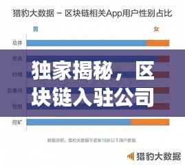 独家揭秘,区块链入驻公司排名榜,行业领导者与发展趋势一网打尽!