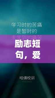 励志短句,爱情的象征,深情与力量的完美结合