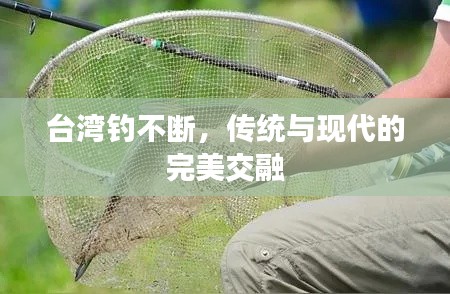 台湾钓不断,传统与现代的完美交融
