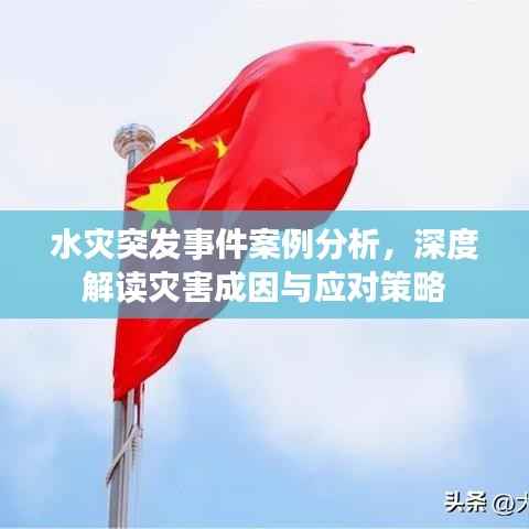 水灾突发事件案例分析,深度解读灾害成因与应对策略