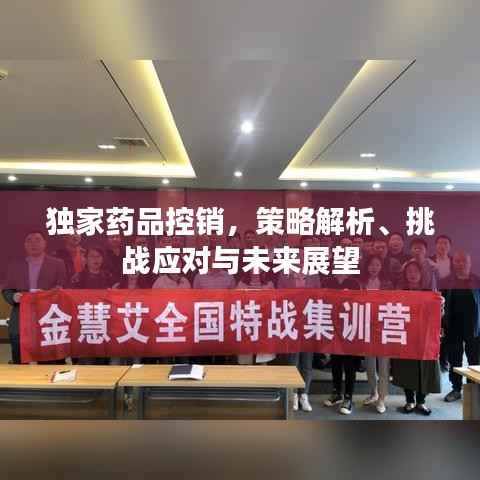 独家药品控销,策略解析、挑战应对与未来展望