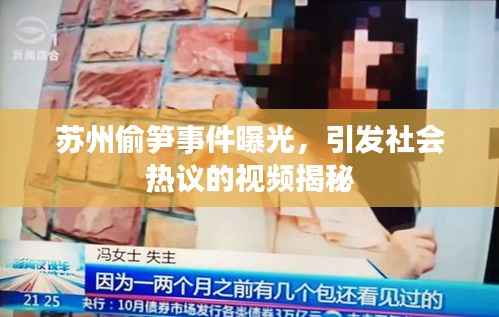 苏州偷笋事件曝光,引发社会热议的视频揭秘