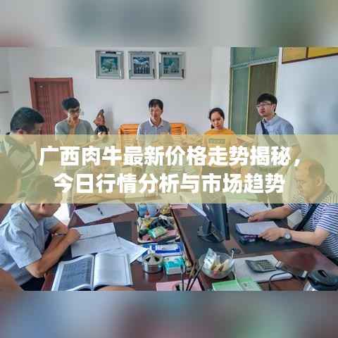 广西肉牛最新价格走势揭秘,今日行情分析与市场趋势
