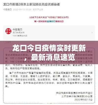 龙口今日疫情实时更新,最新消息速览