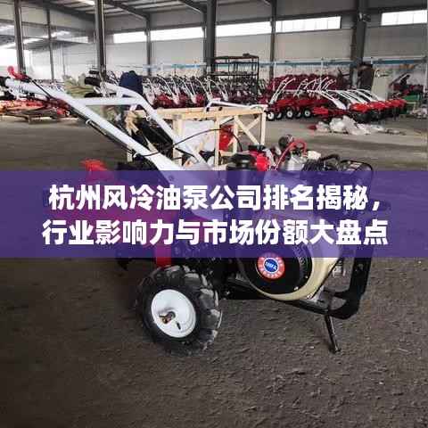 杭州风冷油泵公司排名揭秘,行业影响力与市场份额大盘点