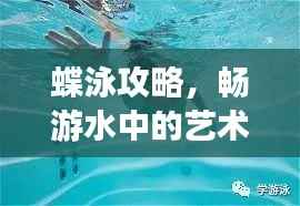 蝶泳攻略,畅游水中的艺术世界