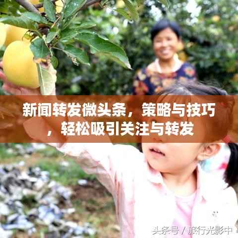 新闻转发微头条,策略与技巧,轻松吸引关注与转发