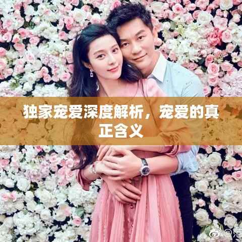 独家宠爱深度解析,宠爱的真正含义