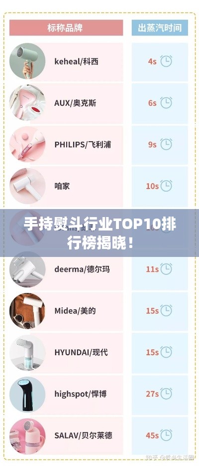 手持熨斗行业TOP10排行榜揭晓!