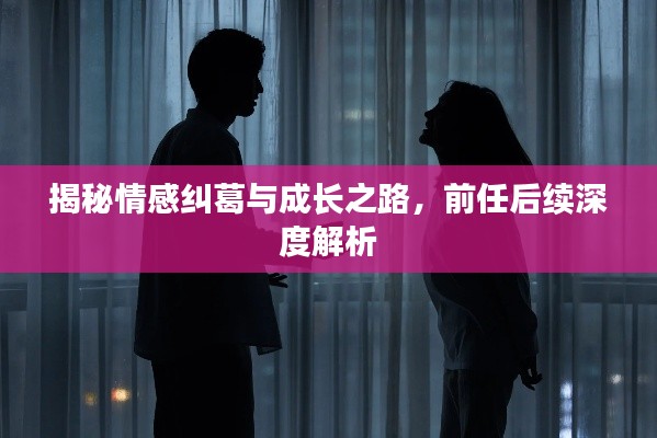 揭秘情感纠葛与成长之路,前任后续深度解析