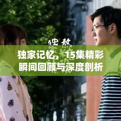 独家记忆,15集精彩瞬间回顾与深度剖析
