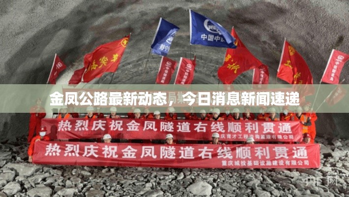 金凤公路最新动态,今日消息新闻速递