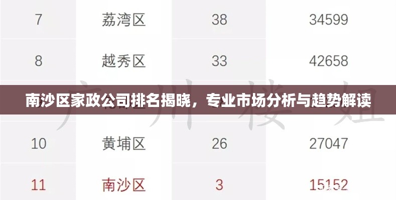 南沙区家政公司排名揭晓，专业市场分析与趋势解读