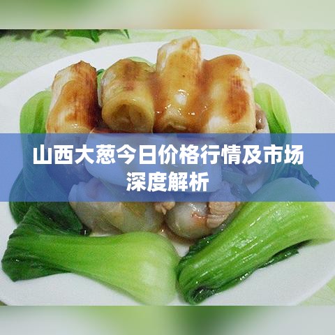 山西大葱今日价格行情及市场深度解析