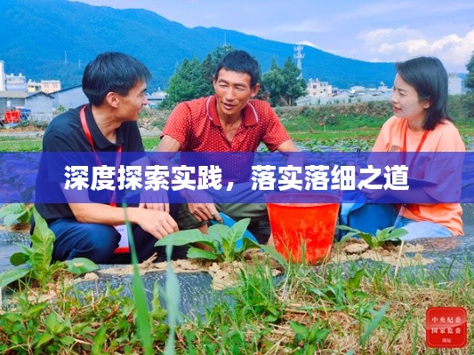 深度探索实践,落实落细之道
