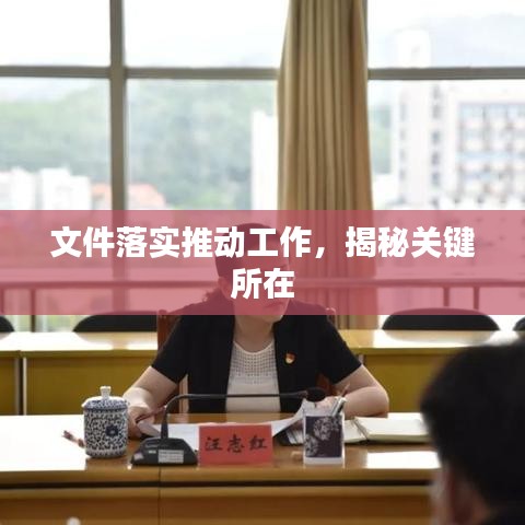 文件落实推动工作,揭秘关键所在