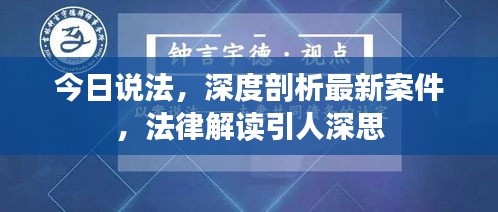 今日说法,深度剖析最新案件,法律解读引人深思
