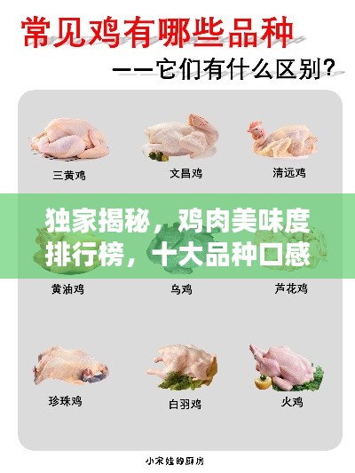 独家揭秘，鸡肉美味度排行榜，十大品种口感大比拼！