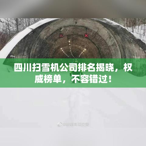 四川扫雪机公司排名揭晓,权威榜单,不容错过!